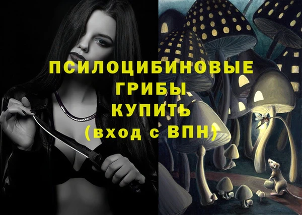 МДПВ Абаза